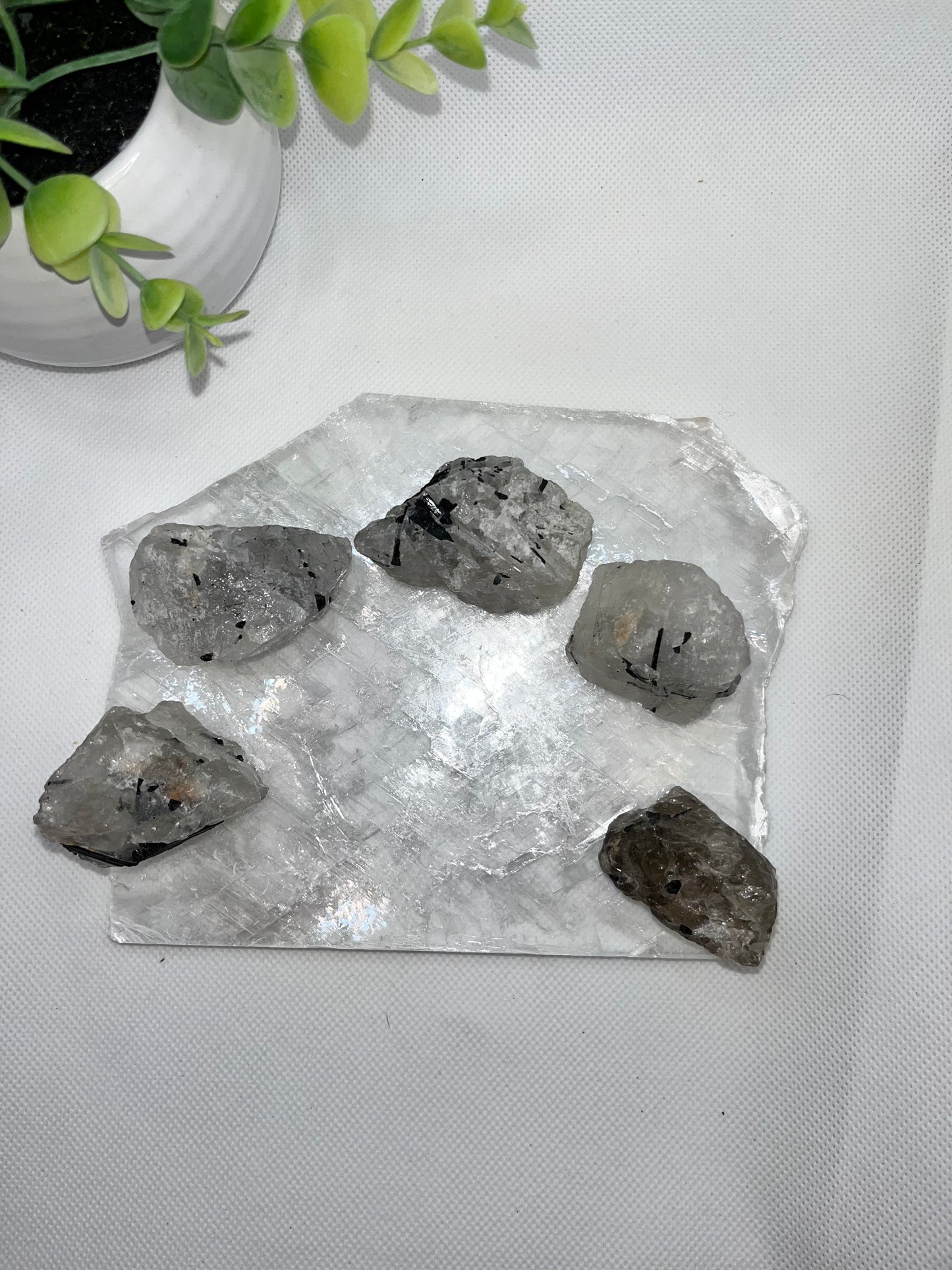 Tourmaline in Quartz